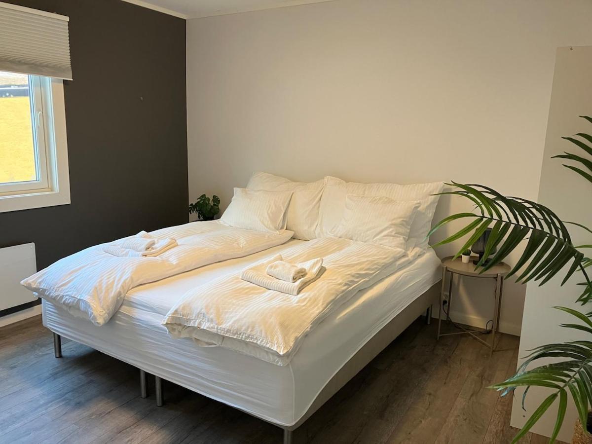 3br Penthouse In Center With Free Parking